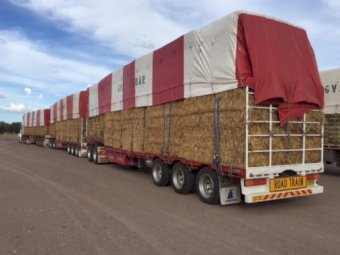 Hay, Silage, Freight needed to support Flood Victims in Casino, Lismore and Gympie areas
