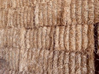 Wheat Straw Windrowed