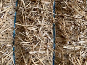 Wheat Straw Windrowed