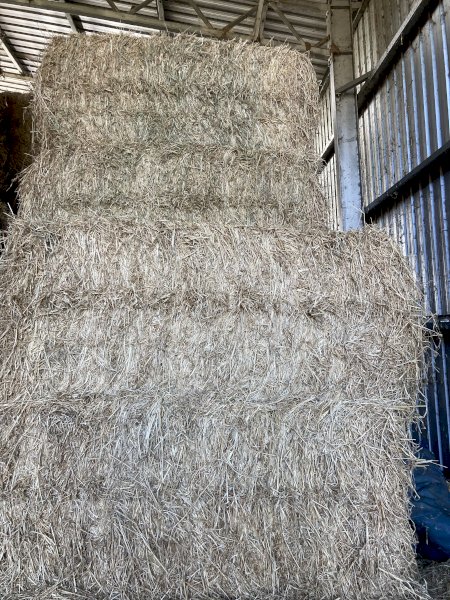 Lucerne - Rhodes Grass NASA,USDA NOP  accredited Hay