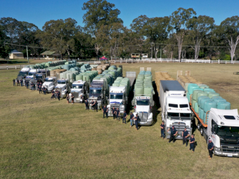 WANTED Hay & Silage for Flood affected Areas (Large Square Bales Only)