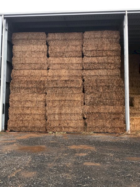 500mt Vetch Hay 650kg+ 8x4x3 (21/22)