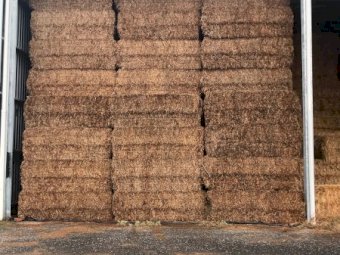 500mt Vetch Hay 650kg+ 8x4x3 (21/22)