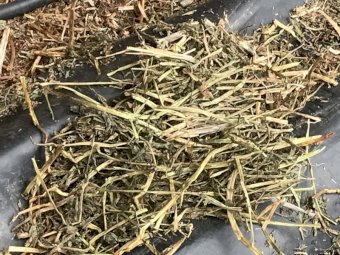 500mt Vetch Hay 650kg+ 8x4x3 (21/22)