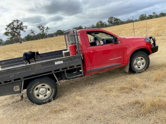 2019 Holden Colorado MY19 Single Cab Ute