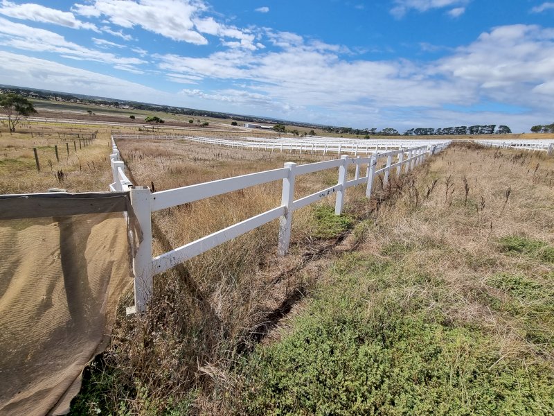 Under Auction - (A170) 240 Metres of 2 Rail Horse Fencing with Posts 