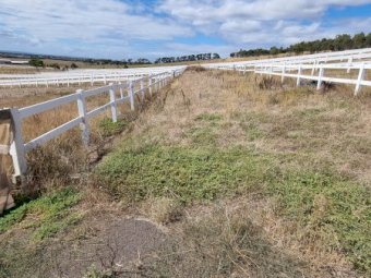 Under Auction - (A170) 240 Metres of 2 Rail Horse Fencing with Posts 