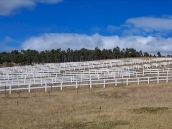 Under Auction - (A170) 240 Metres of 2 Rail Horse Fencing with Posts 