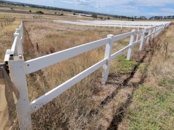 Under Auction - (A170) 240 Metres of 2 Rail Horse Fencing with Posts 