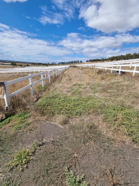 Under Auction - (A170) 240 Metres of 2 Rail Horse Fencing with Posts 
