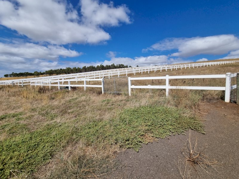 Under Auction - (A170) 240 Metres of 2 Rail Horse Fencing with Posts 