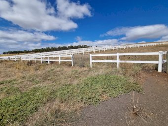 Under Auction - (A170) 240 Metres of 2 Rail Horse Fencing with Posts 