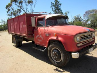Under Auction - (A171) 1966 International Tipper Truck 