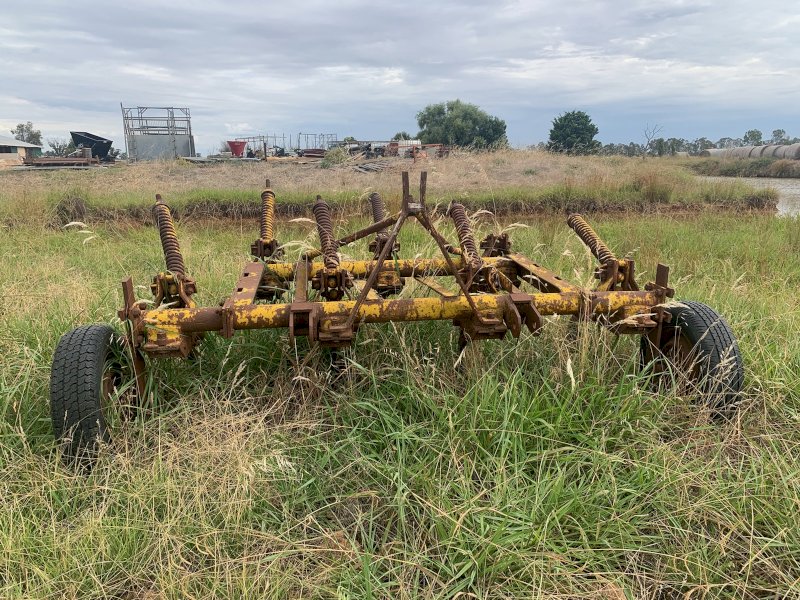 Connor Shea Deep Rippers