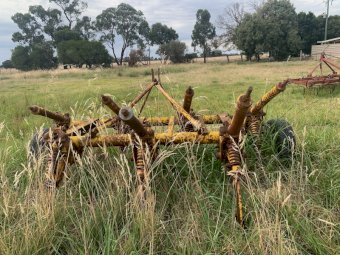 Connor Shea Deep Rippers