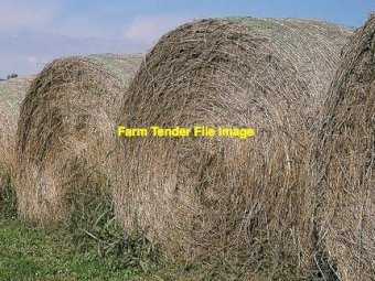  Balansa clover Hay 400kg+ 5x4 Rolls