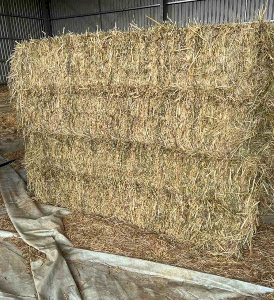 Oaten Rye and Vetch Hay
