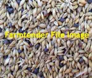 Wanted Screenings / Off Spec. Grain