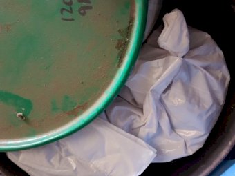 6 bags of Bonito canola seed ( 20kg each ) ( 120kg total )