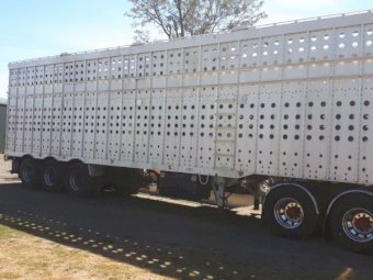 1991 Shanks Stock Crate