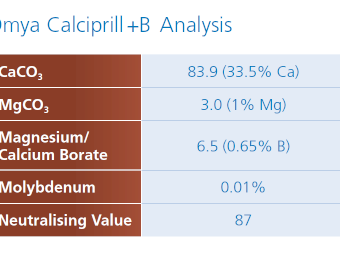 Calciprill +B