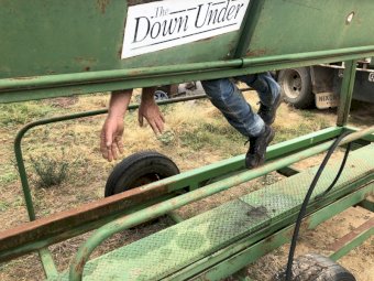 Down Under Sheep Handler