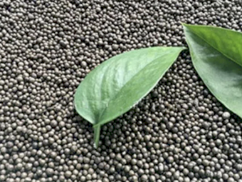 MAP Ex Adelaide - Available Mid May