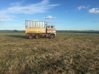 G88 Volvo truck with silage bin sides