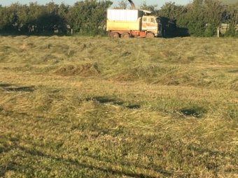 G88 Volvo truck with silage bin sides