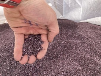 2mt Pioneer 44Y94CL Hybrid Clear Field Canola Seed