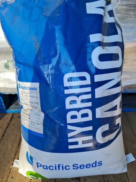 Hyola 970 CL Canola Seed