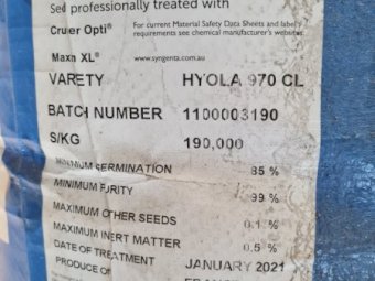 Hyola 970 CL Canola Seed