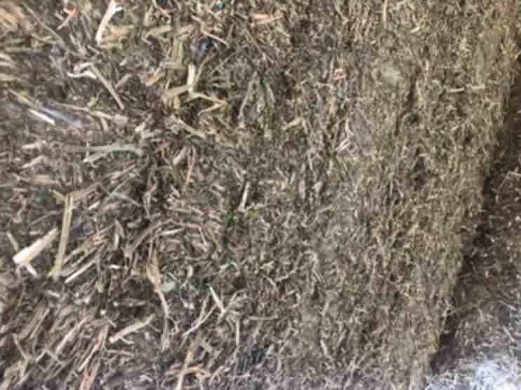 Shedded Vetch Hay 8x4x3 Bales