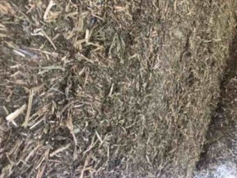 Shedded Vetch Hay 8x4x3 Bales