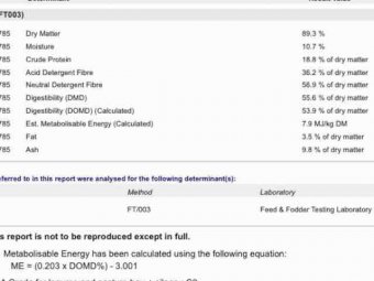 Shedded Vetch Hay 8x4x3 Bales