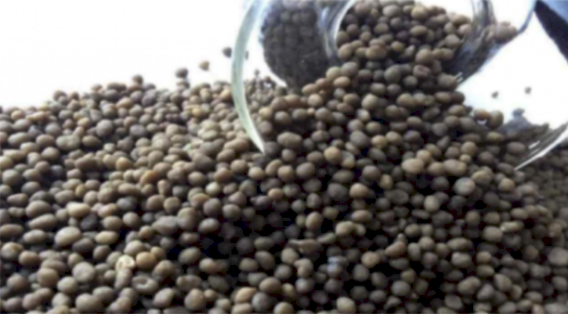 DAP - Ex Berrigan NSW - 33 tonne available.