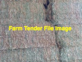 Vetch Hay 570kg 8x4x3 Bales (2020)