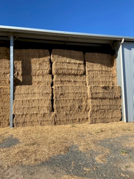 Lucerne Hay 8x4x3 Bales 2nd Cut