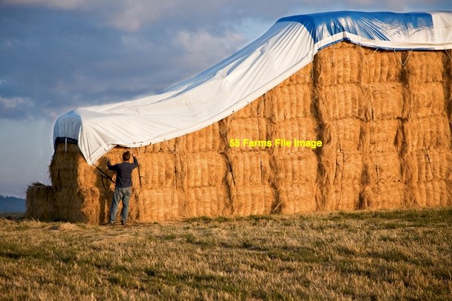 4 x Hay Caps (Tarps)