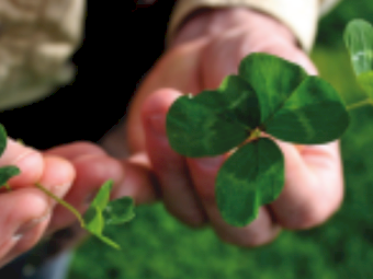 Superfect/Potash 1:1 Blend - Available All ports.