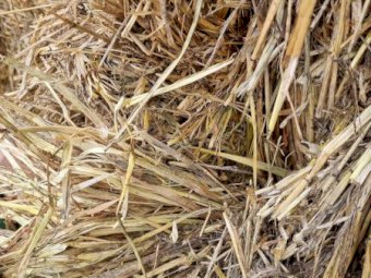 500mt Oaten Hay 600-700kg 8x4x3 Bales