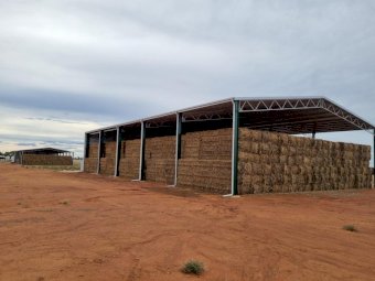 500mt Oaten Hay 600-700kg 8x4x3 Bales