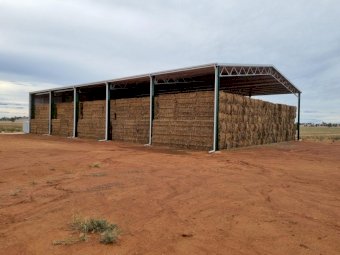500mt Oaten Hay 600-700kg 8x4x3 Bales