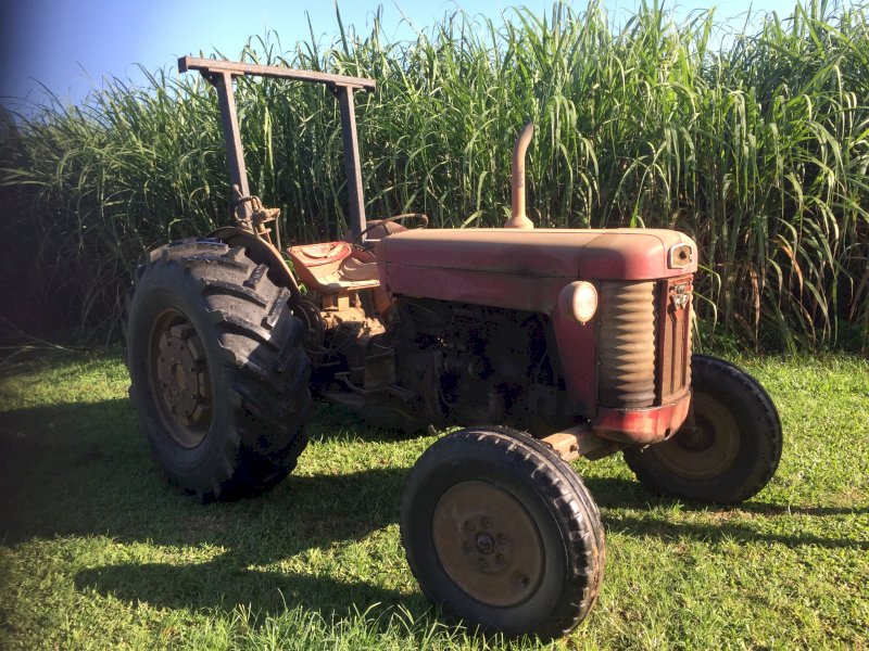 Massey Ferguson 65 Tractor