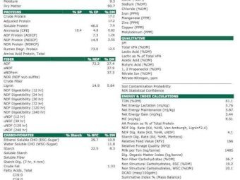 300 Vetch Hay 5x4 Rolls