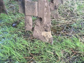 Agroplow Direct Drill