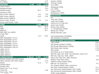 160mt Vetch Hay 650-700kg 8x4x3 Bales
