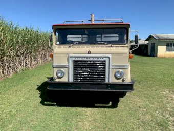 1971 International C1600 series