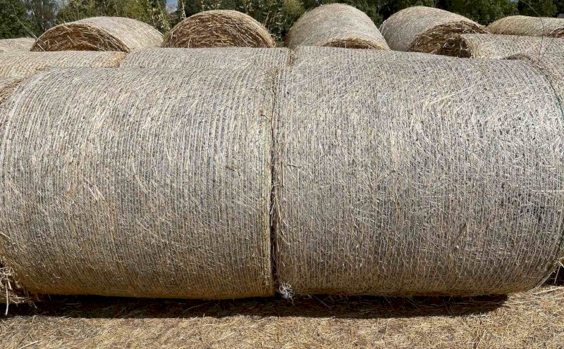 Moby Barley 4x4 Hay Rolls