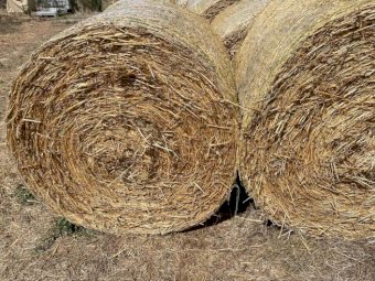 Moby Barley 4x4 Hay Rolls